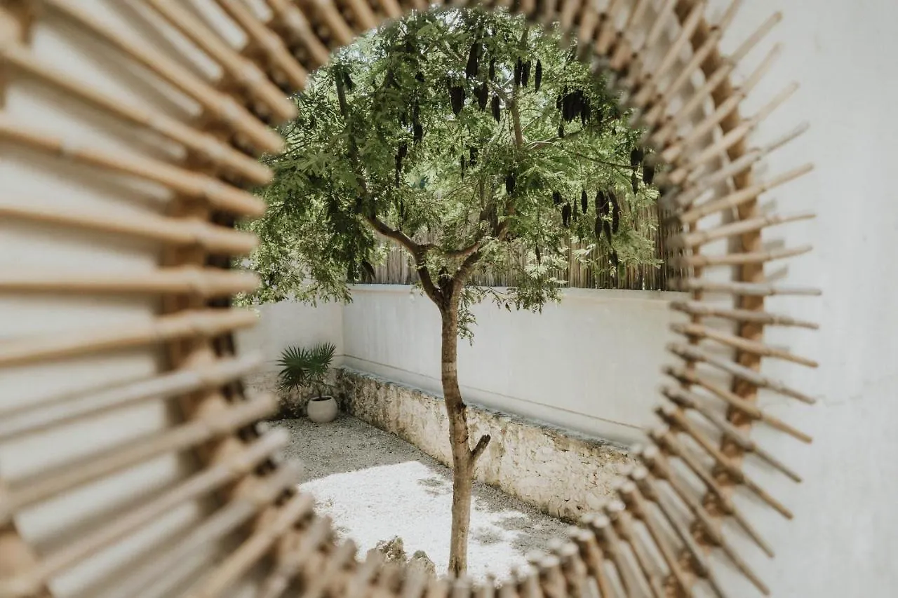 Casa Chimi Tulum Bed and Breakfast Mexico